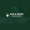 Ace & Sons Insulation