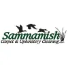 Sammamish Carpet Cleaning