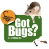 Got Bugs? Exterminating