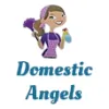 Domestic Angels