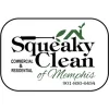 Squeaky Clean Of Memphis