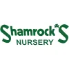 Shamrock's