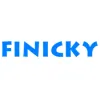 Finicky Window Cleaning