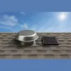 Fan Man