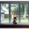 Designer Windows & Siding