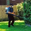 Low Country Pest Specialists