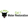 Cat 1 Water Restoration
