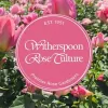 Witherspoon Rose Culture