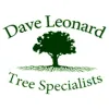 The Tree Man