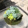 E R's Quality Landscaping