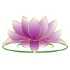 Lotus Cleaning Services
