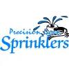 Precision Lawn Sprinklers