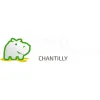 Hippo Carpet Cleaning Chantilly