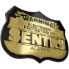 Sentry Alarms