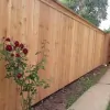 Harrison Fence