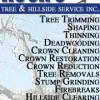 Rock's Tree & Hillside Service