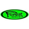 Forest Landscape