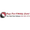 Buggs Pest & Wildlife Control