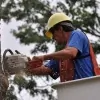 Rochester MN Tree Service