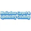 Meticulous Carpet & Upholstery Cleaning