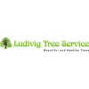 Ludivig Tree Service