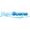 NewScene Professional Window Cleaning