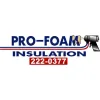 Pro Foam Insulation