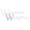 Westchester Wildlife