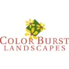 Color Burst Landscapes