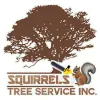 Squirrels Tree Service