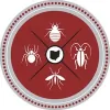Bed Bug Solutions