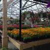 Hillcrest Farms