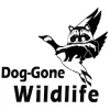Dog Gone Wildlife