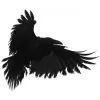 Raven Security Group