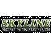 Skyline Construction Services