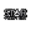 Star Painters