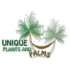 Unique Plants & Palms