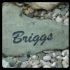 Briggs Landscape Supply