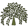 Willow Homes
