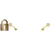 Lynn Johnson Lock & Key Service