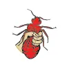 Town & Country Pest Solutions