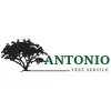 Antonio Tree Service