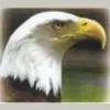 Eagle Cleaning Concepts