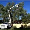 Oasis Tree Service