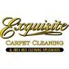 Exquisite Carpet Cleaning