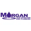 Morgan Leak Detection