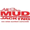 All Star Mudjacking