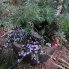 Priority Landscaping