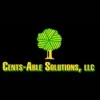 Cents-Able Solutions