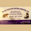 Big Sky Wildlife Control Services